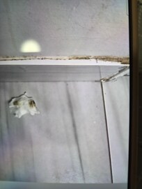 Bathroom i just wiped tiny part and othet baseboard dirty rest clean in here