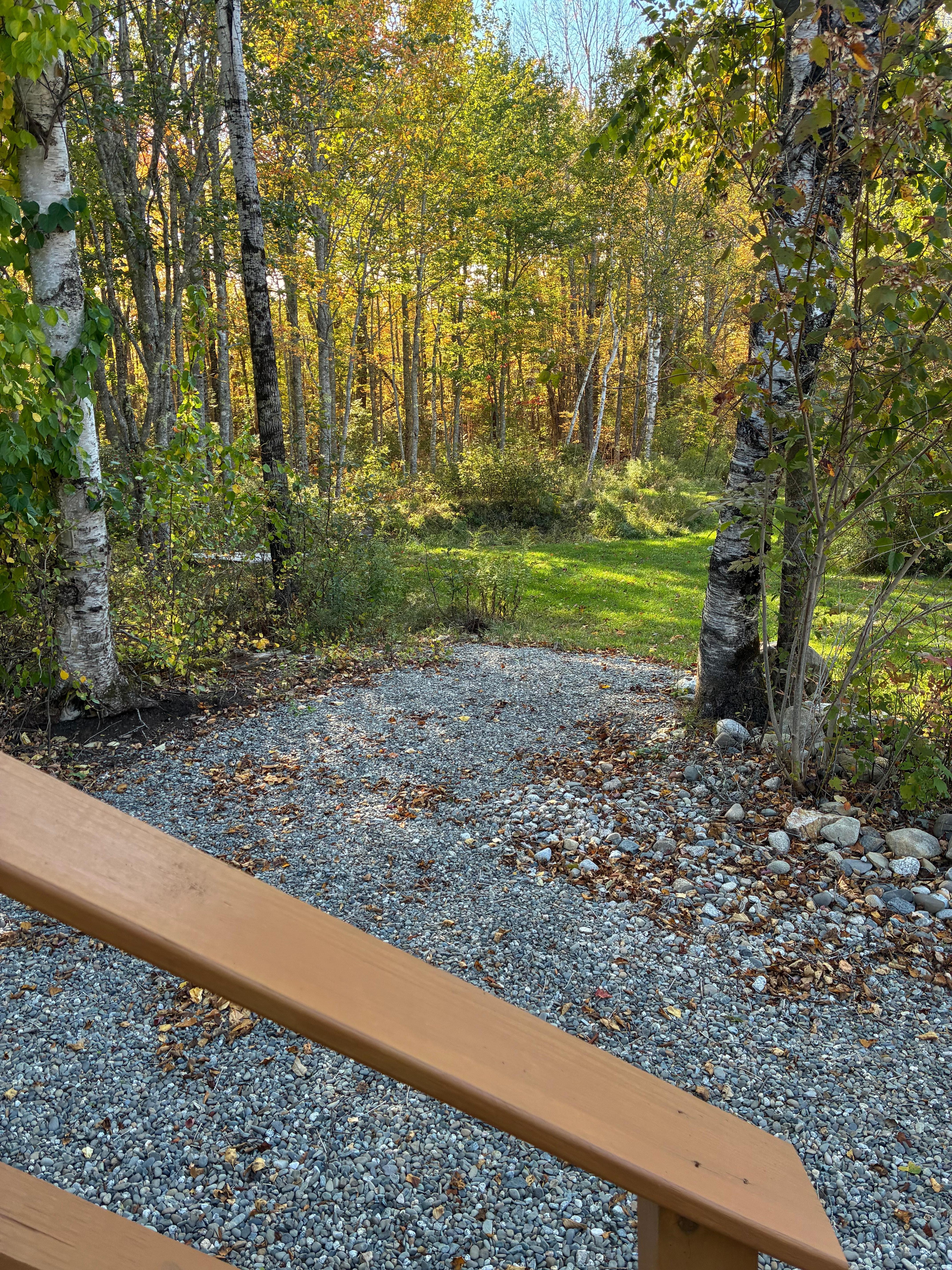 The deer traveled passed by the tiny home at the edge of the gravel.