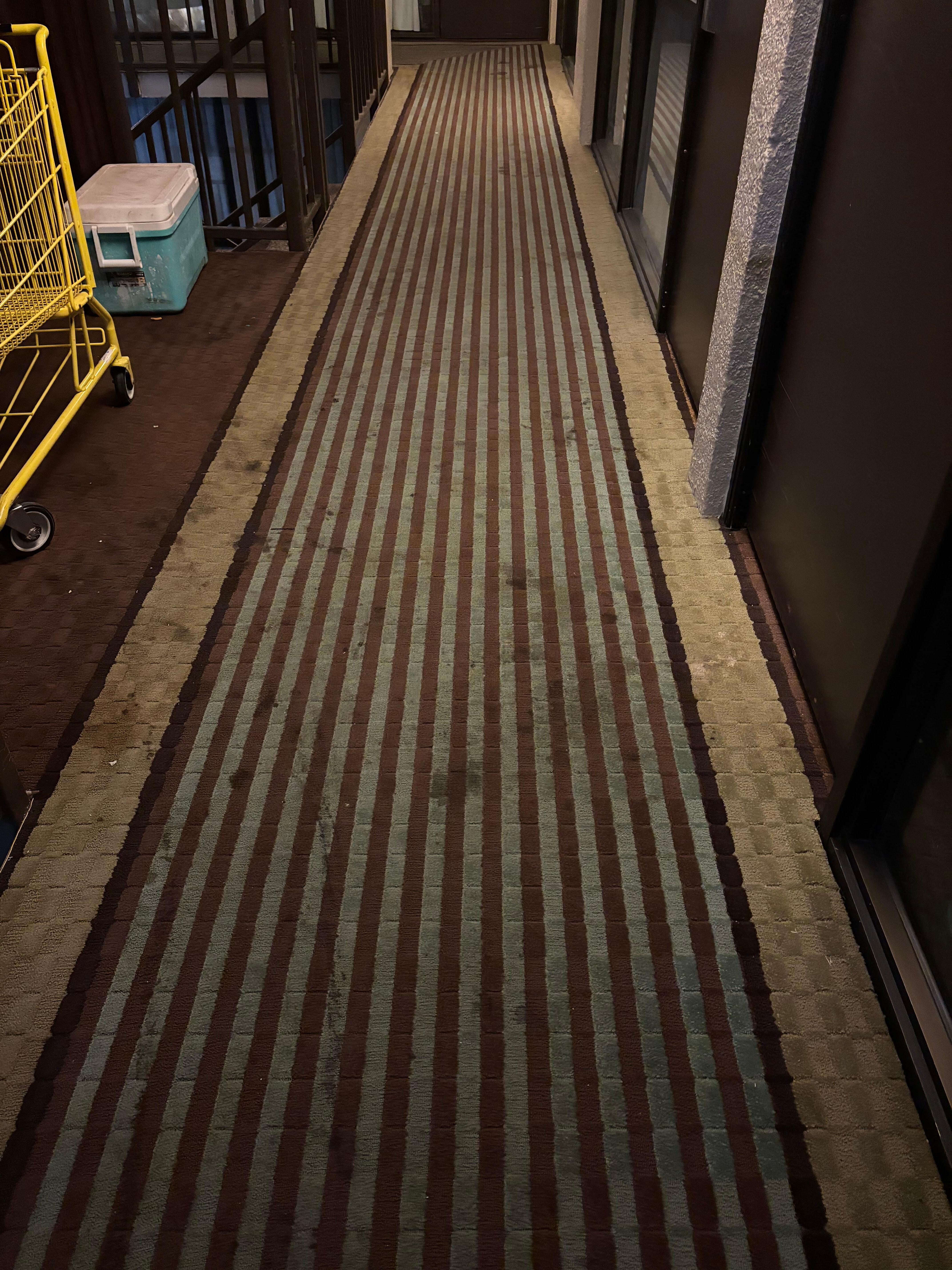 Carpet in front of our room