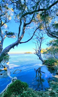 Picture of Honeymoon Island from the waters edge.
