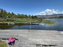 Lots of bird watching next to house in reeds and on lily pad 'islands'