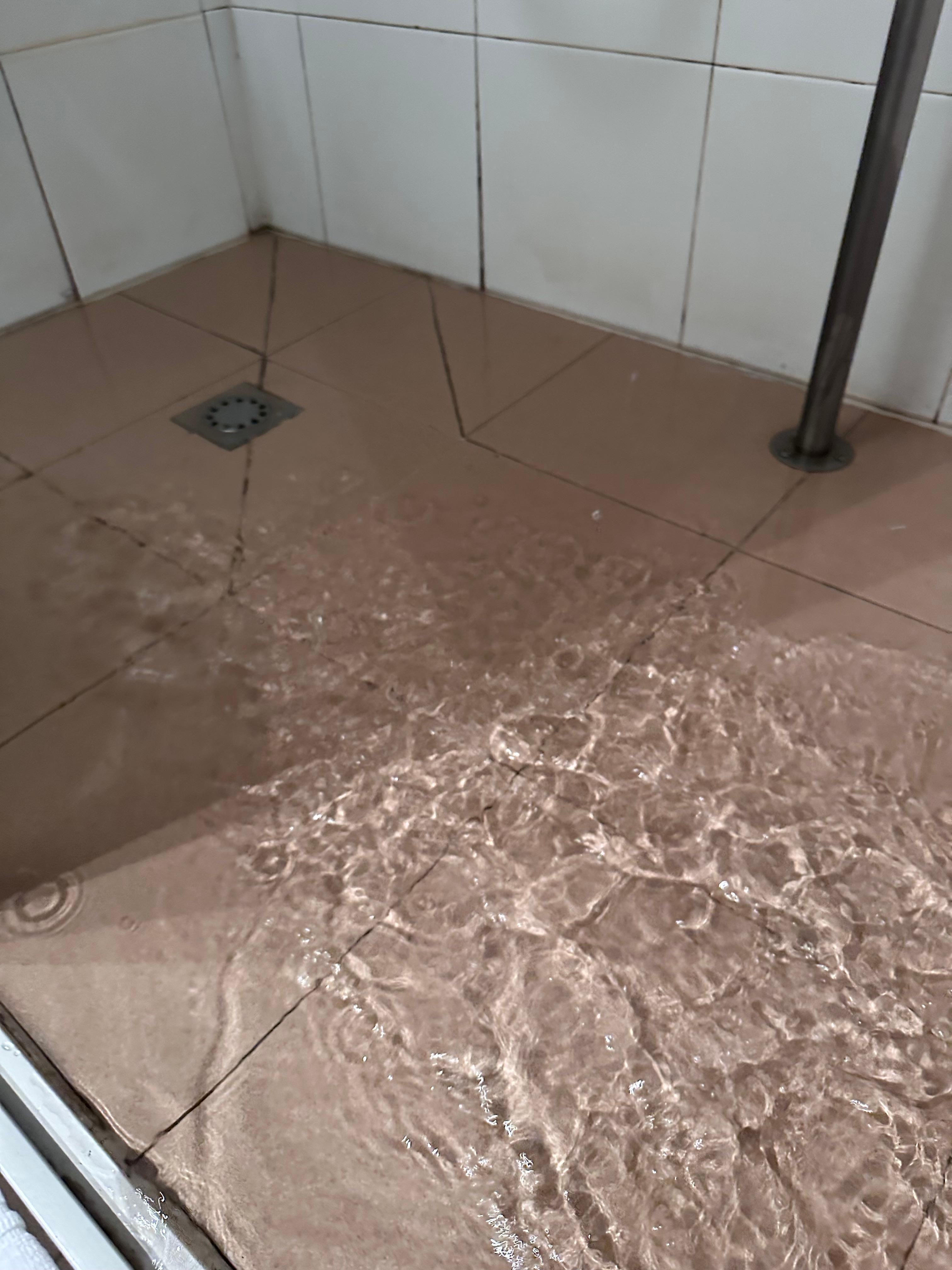 Water overflowed from shower, clogged drain.  