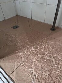 Water overflowed from shower, clogged drain.