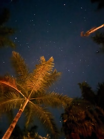 Night sky