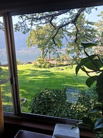 View out the back room window.