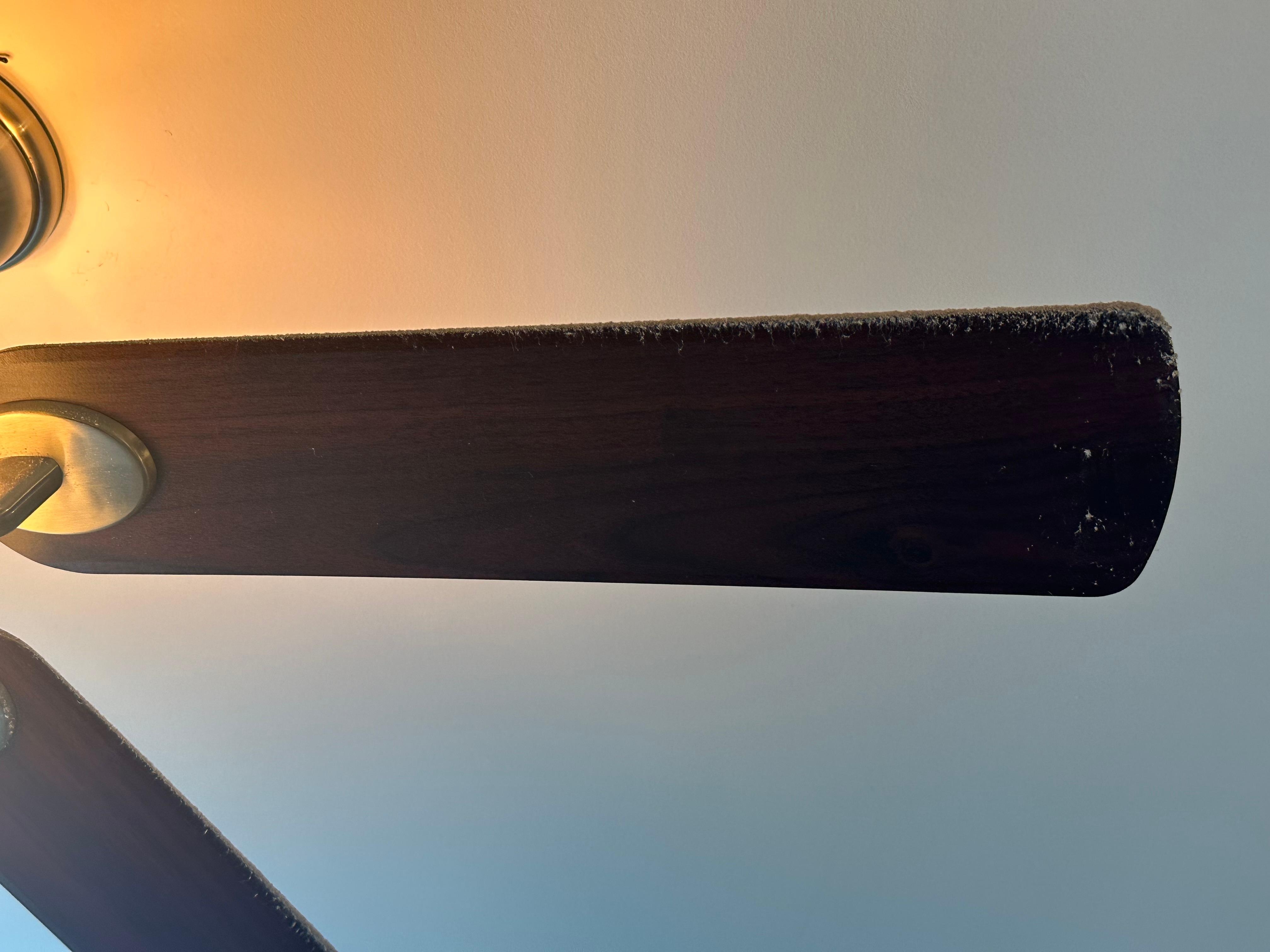 Dust build-up on fan