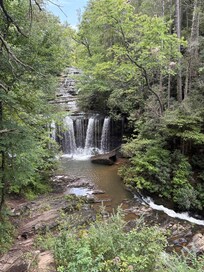Local vista- Brasstown Falls