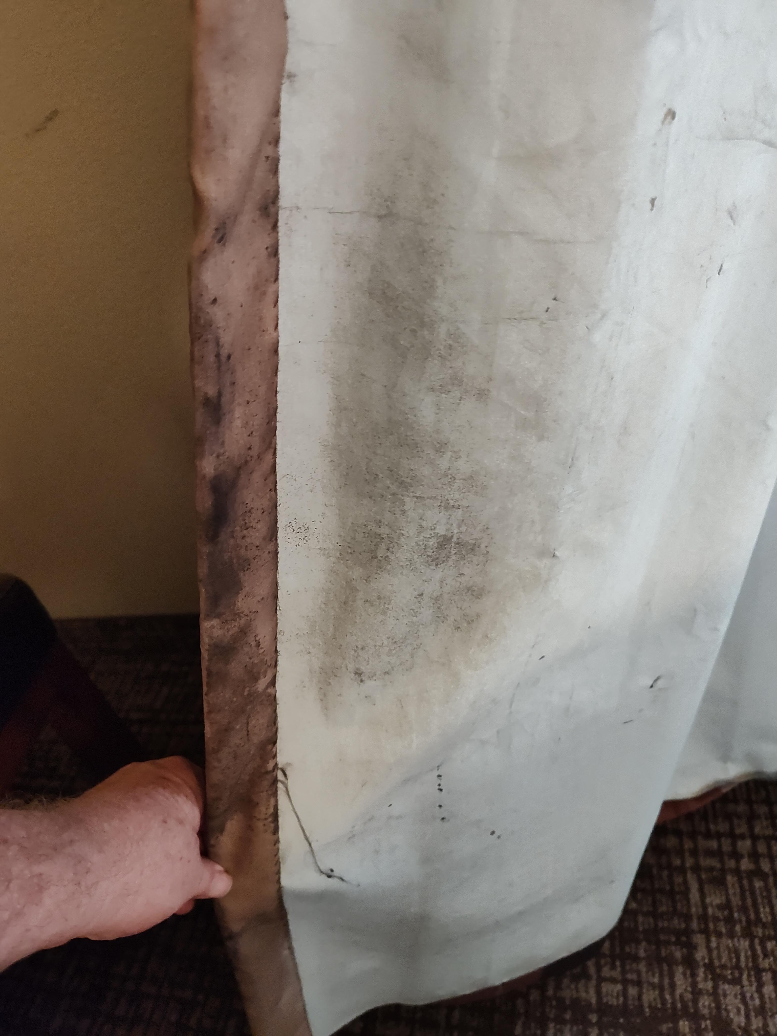 That is the mildew and mold on the curtain. I am pretty sure this was the culprit.