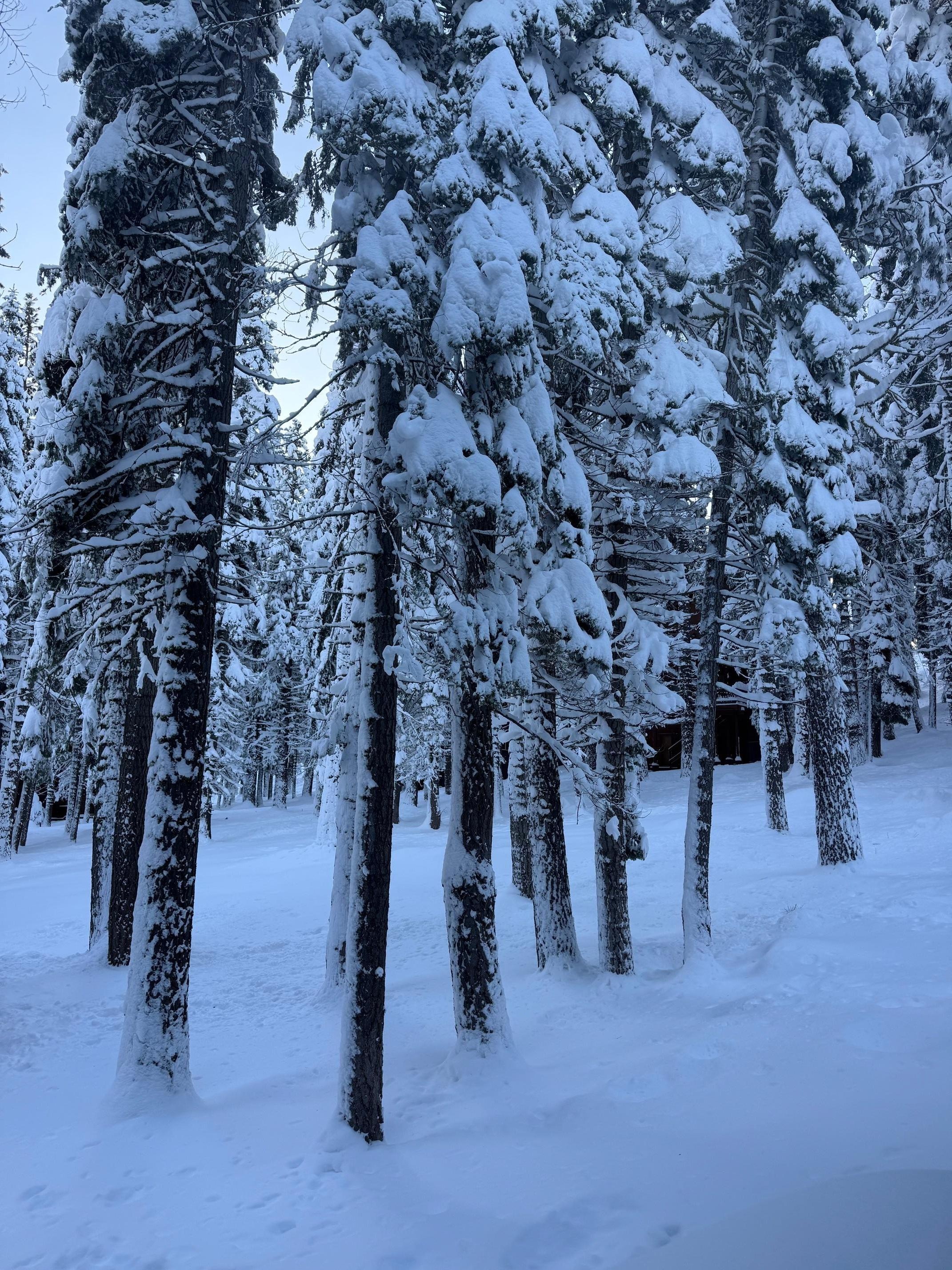 View from one of the downstairs bedroom window