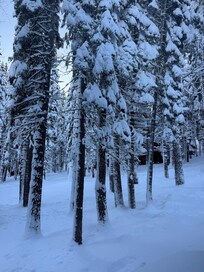 View from one of the downstairs bedroom window