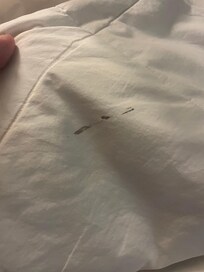 Dirty/stained bedding