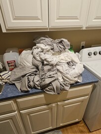 Semi wet smelly sheets found in dryer