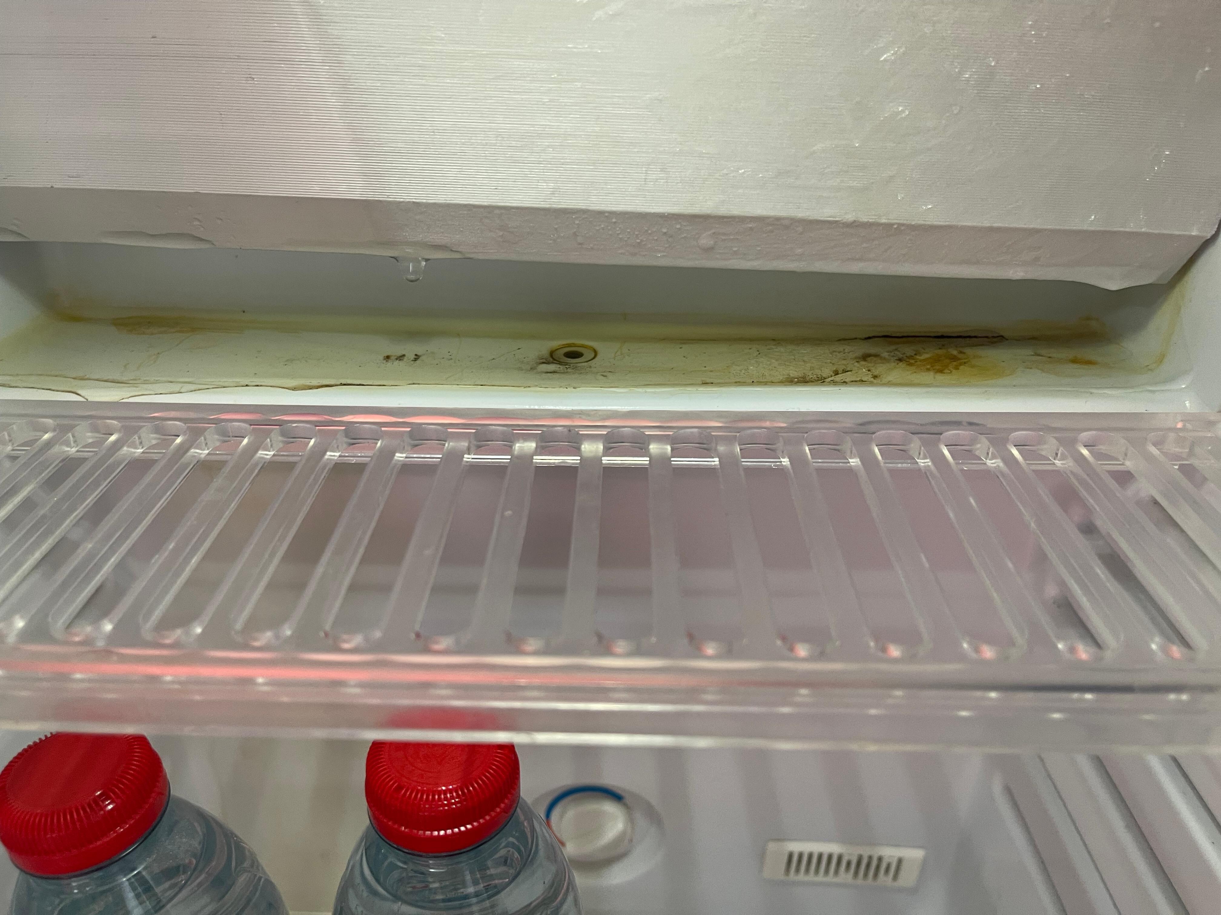 Fridge experiment 