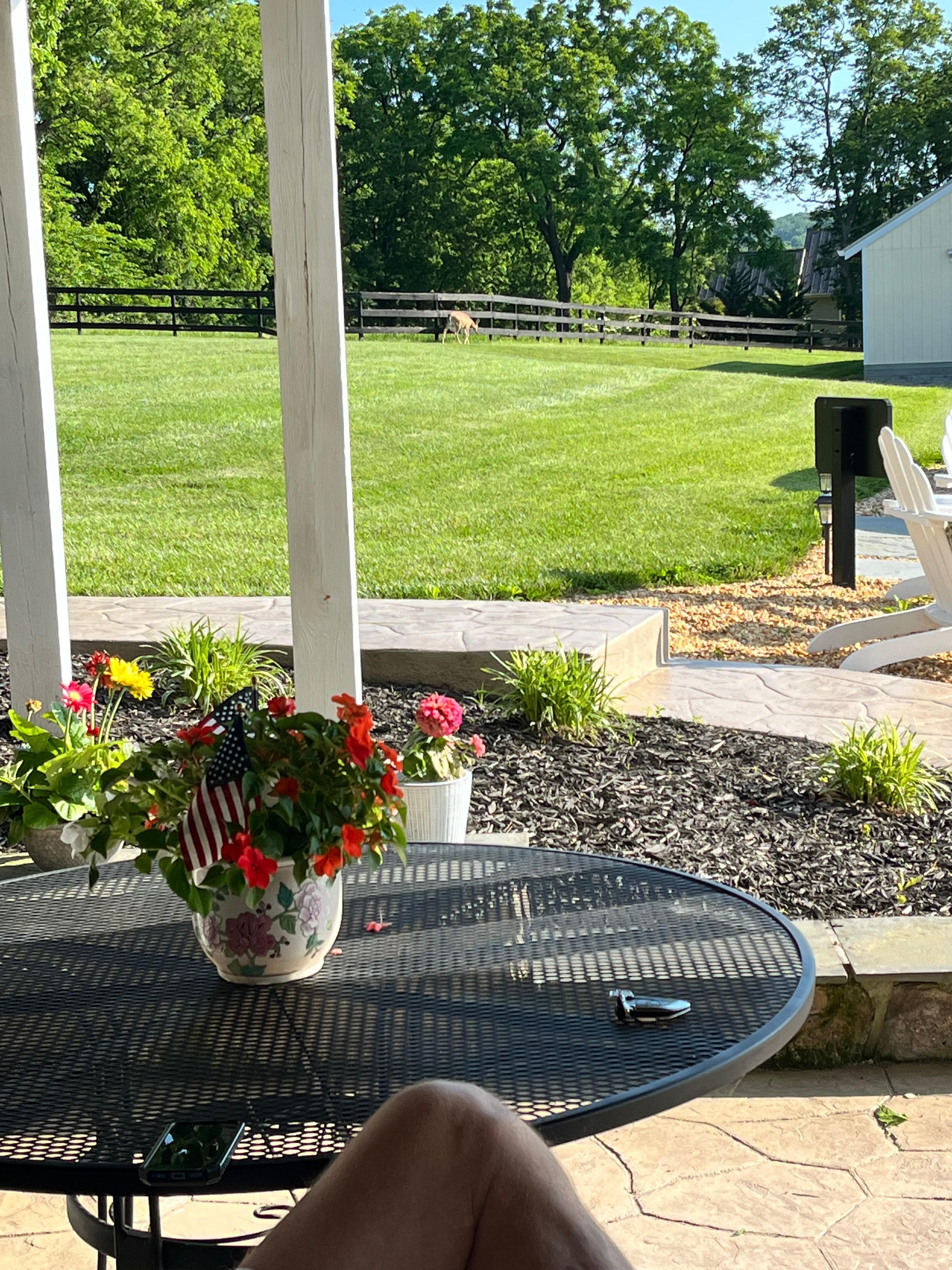 View in the morning from porch