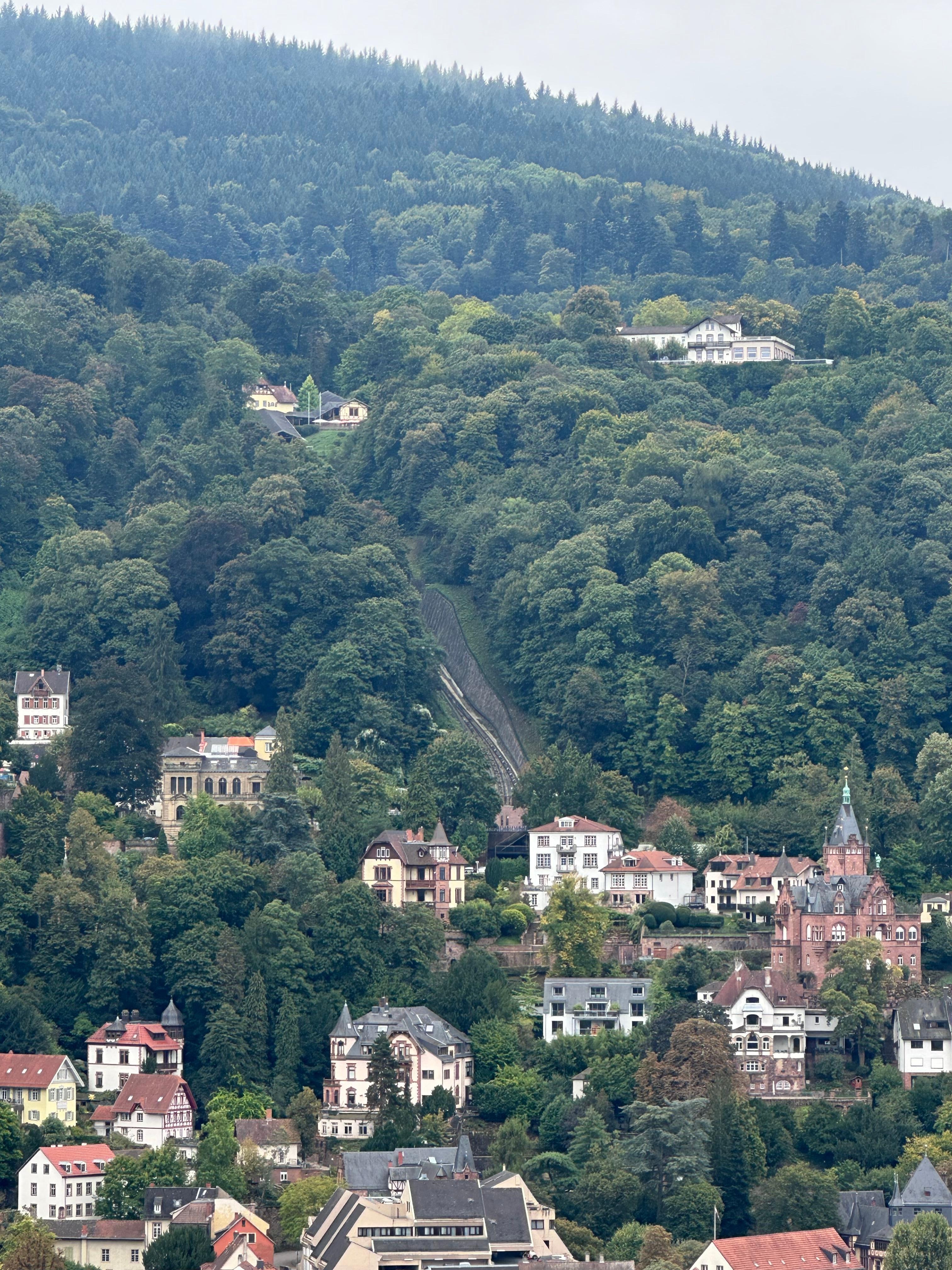 This city is made for walking!