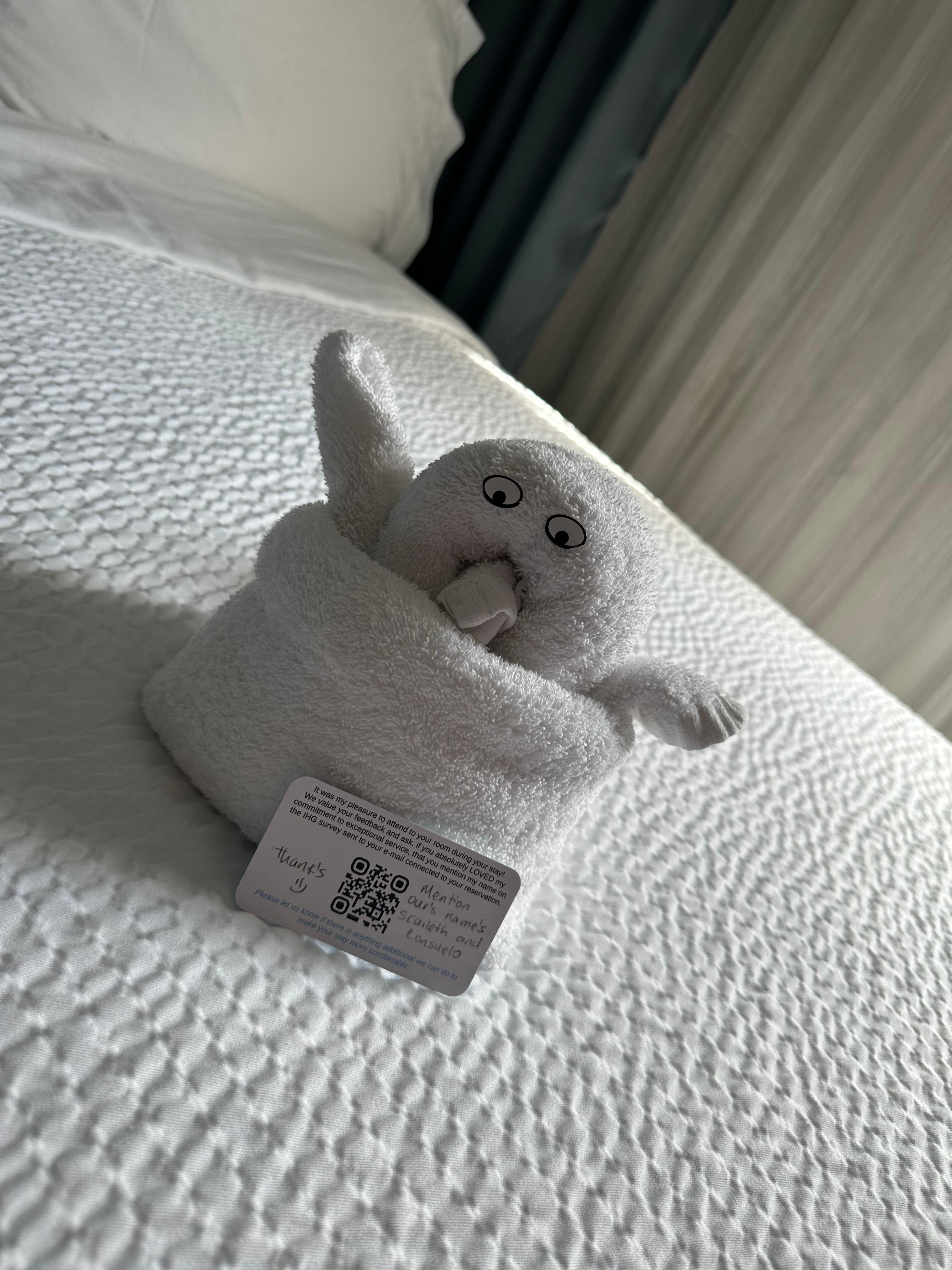 This little guy was waiting for us! 