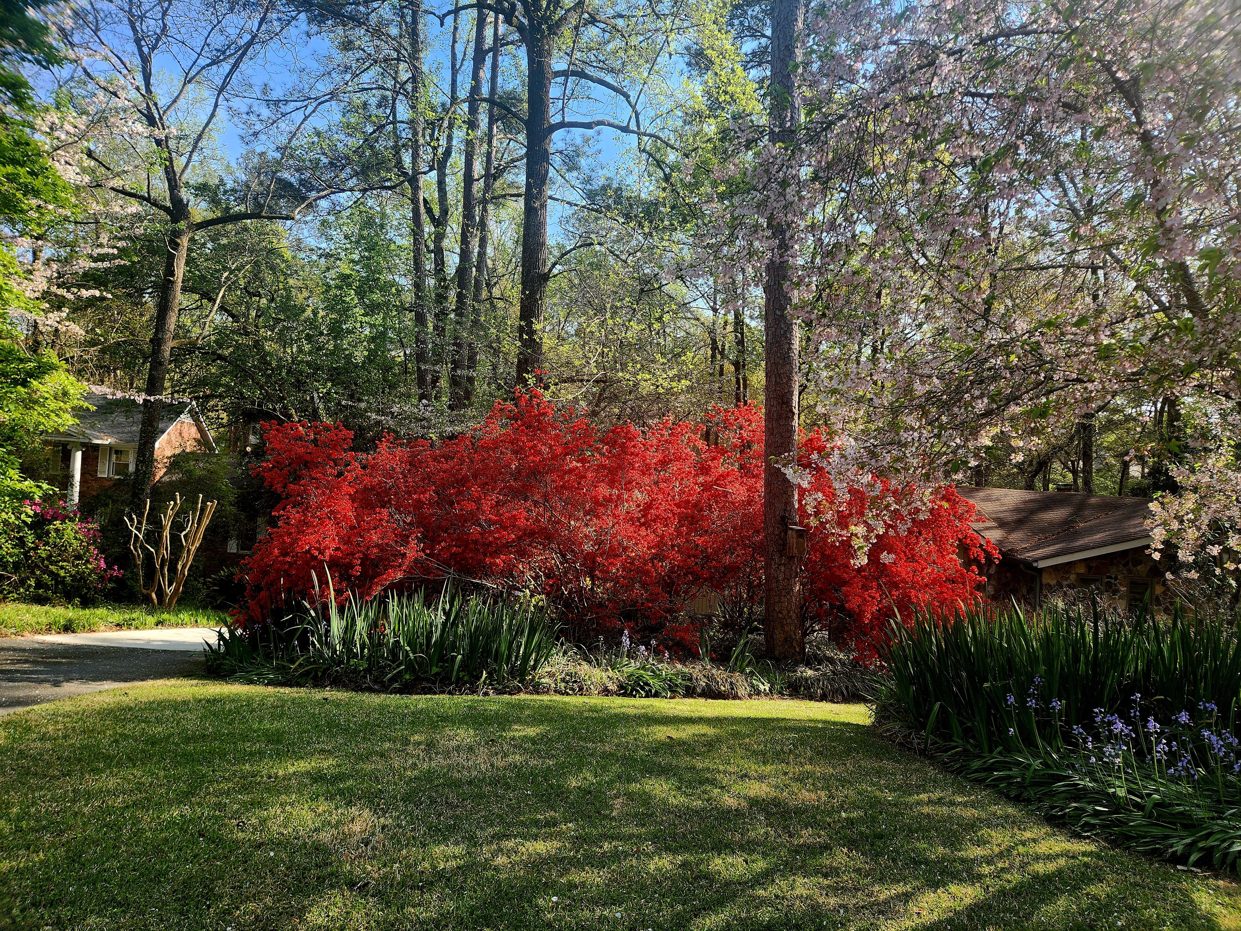 Macon is beautiful in spring. 