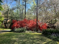 Macon is beautiful in spring.