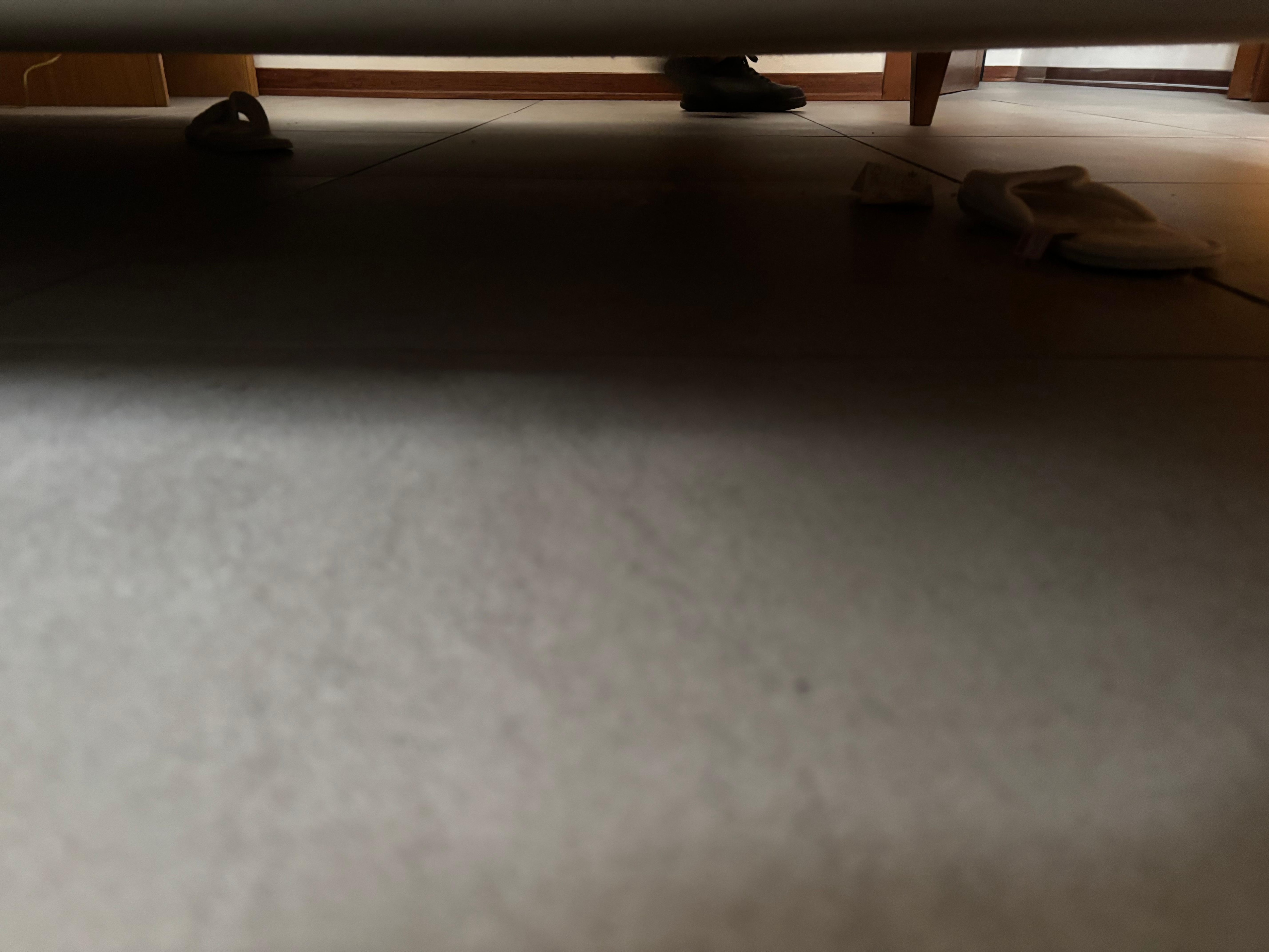 Slipper found under the bed