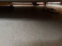 Slipper found under the bed