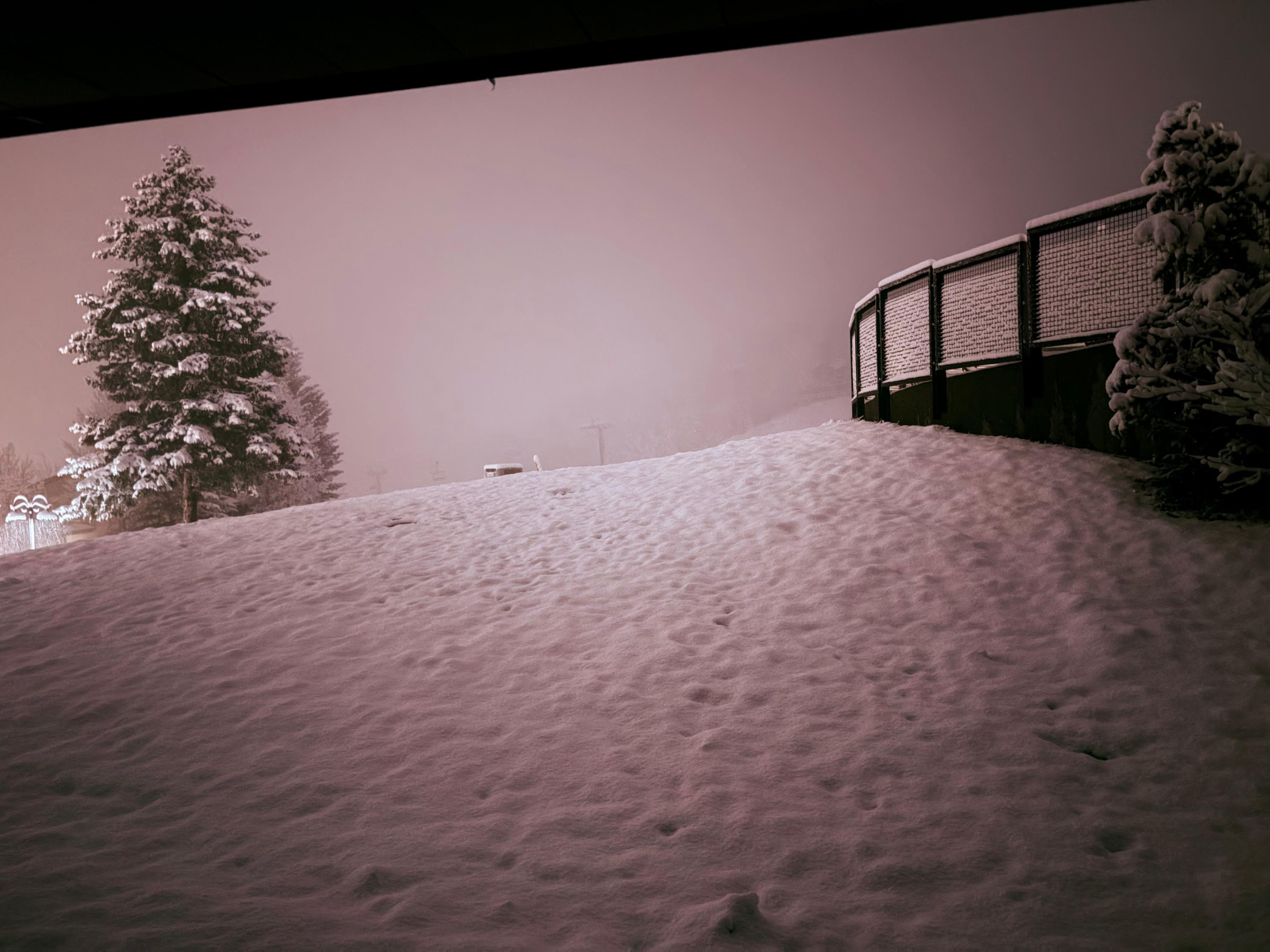View from the living room ground floor condo. 