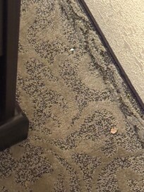 Stained floors.