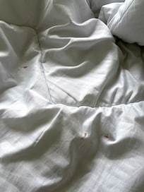 Multiple stains on doona at top under a sheet so very evident at top of bed