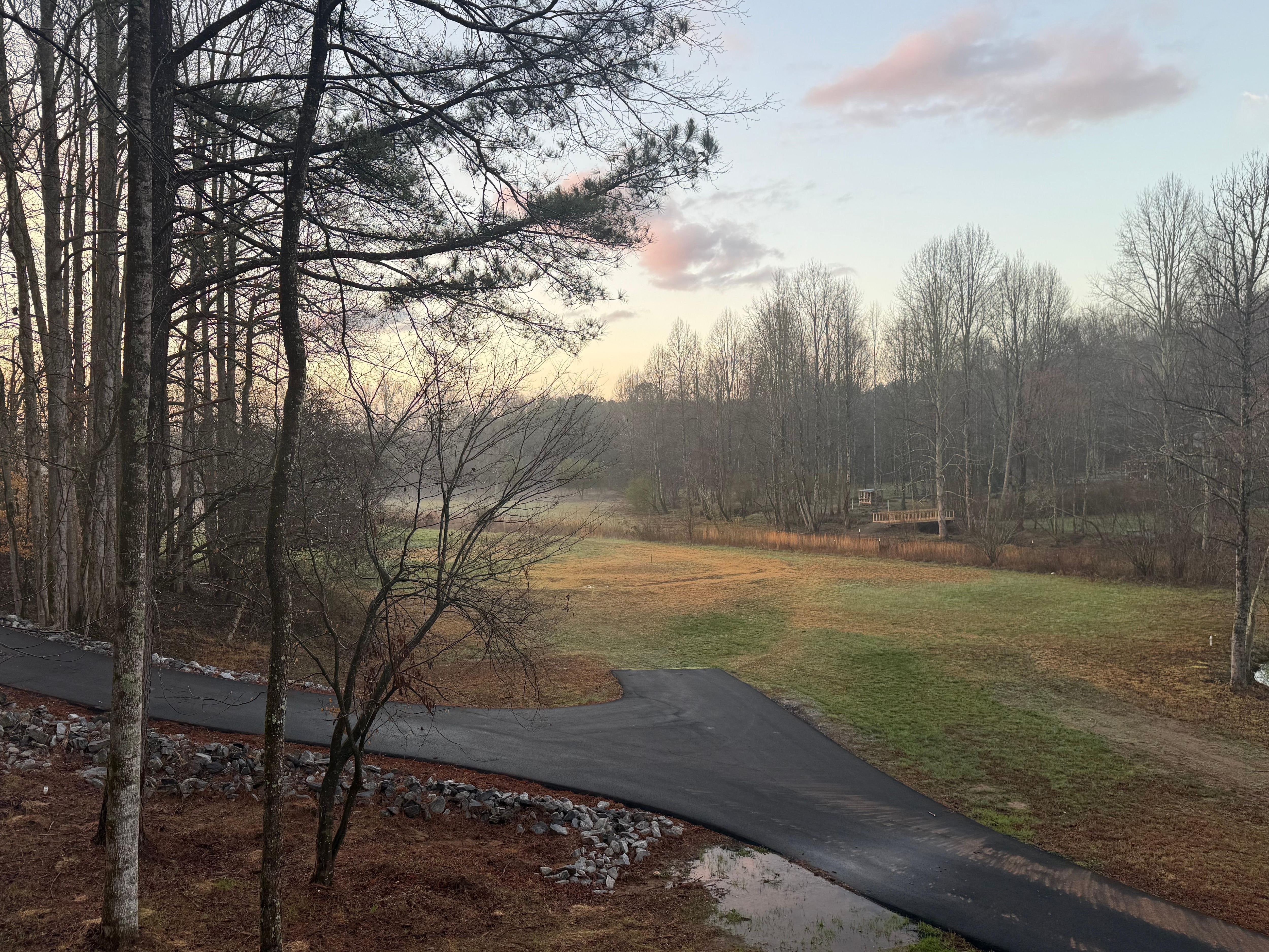 The view from the deck