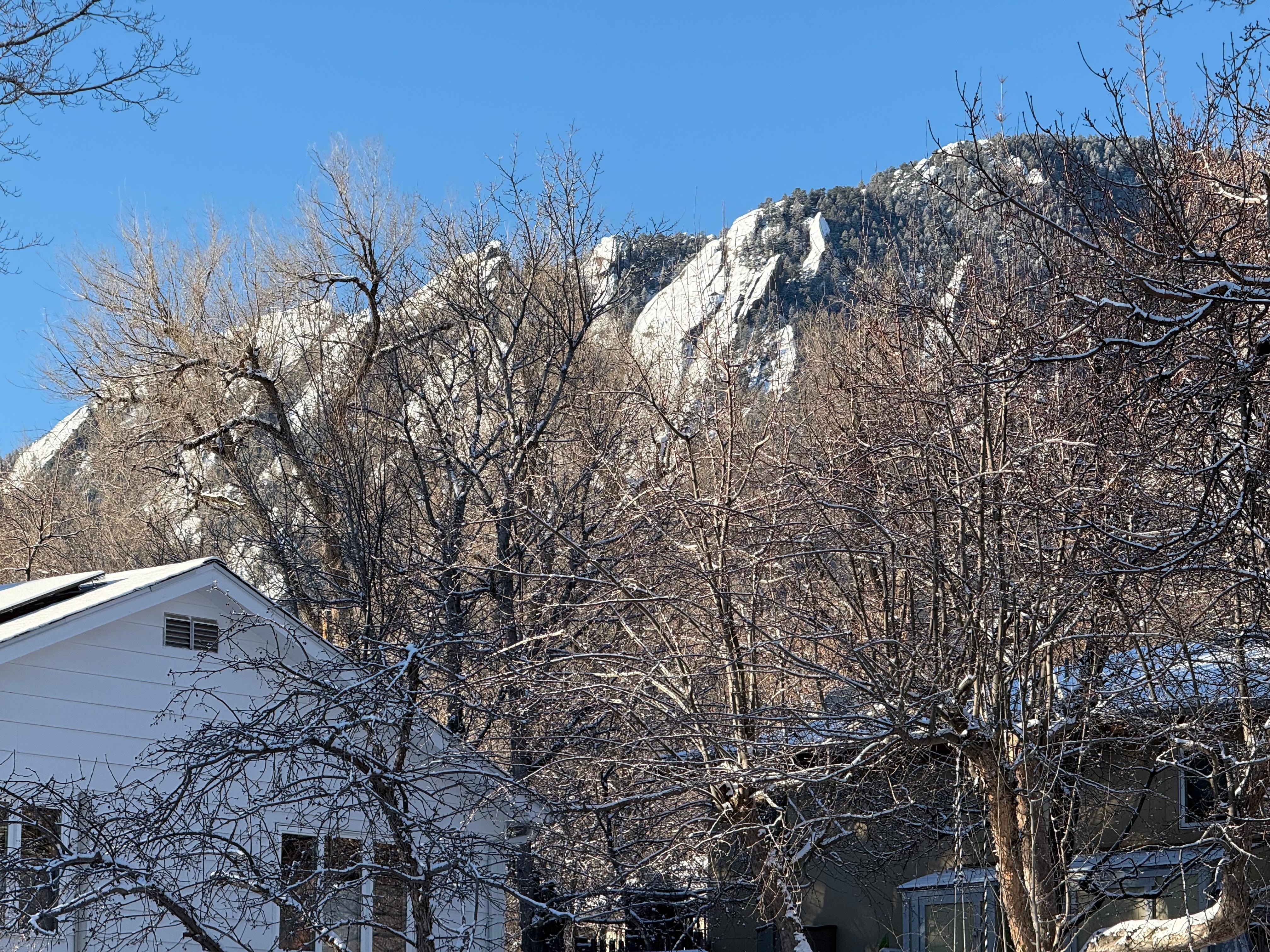 View from the back/side yard.