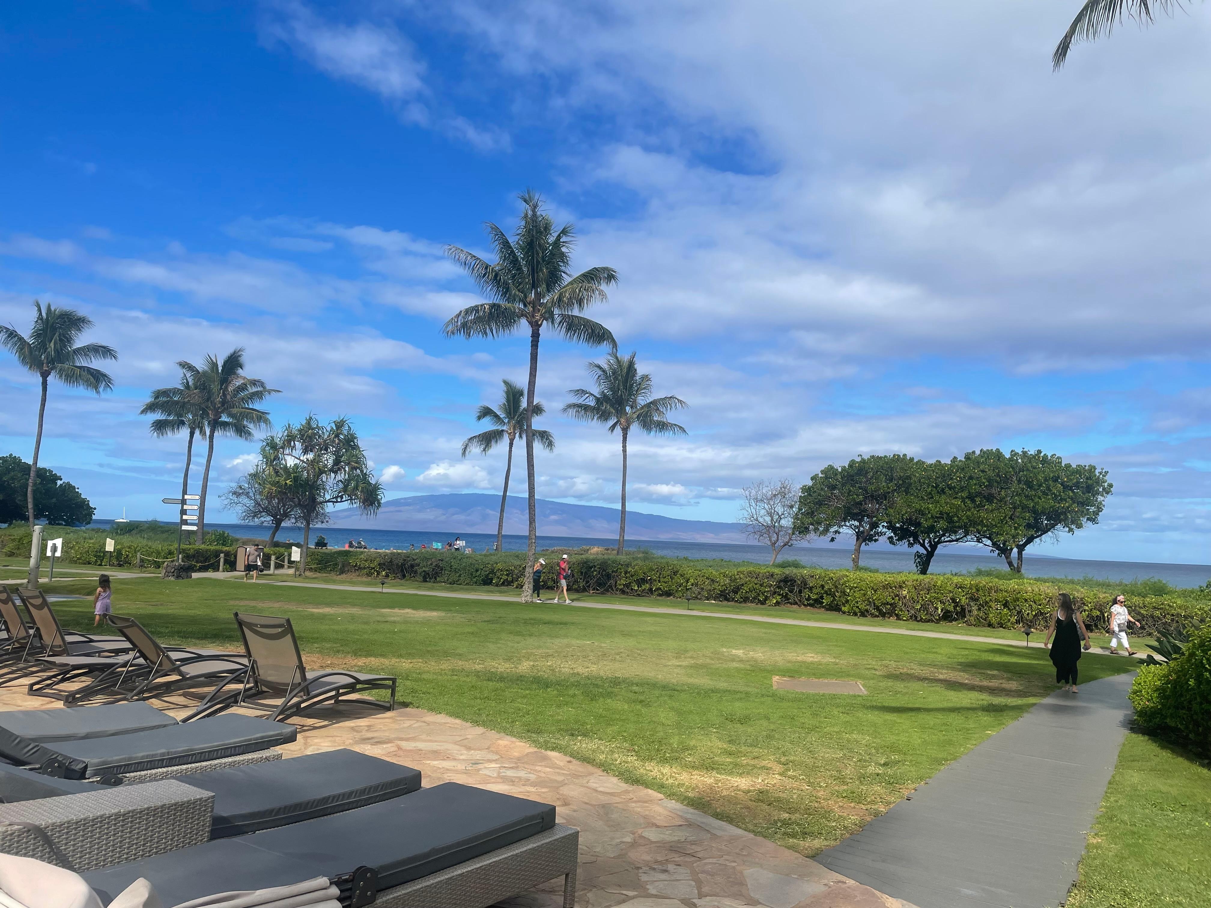 Property/path to the beach