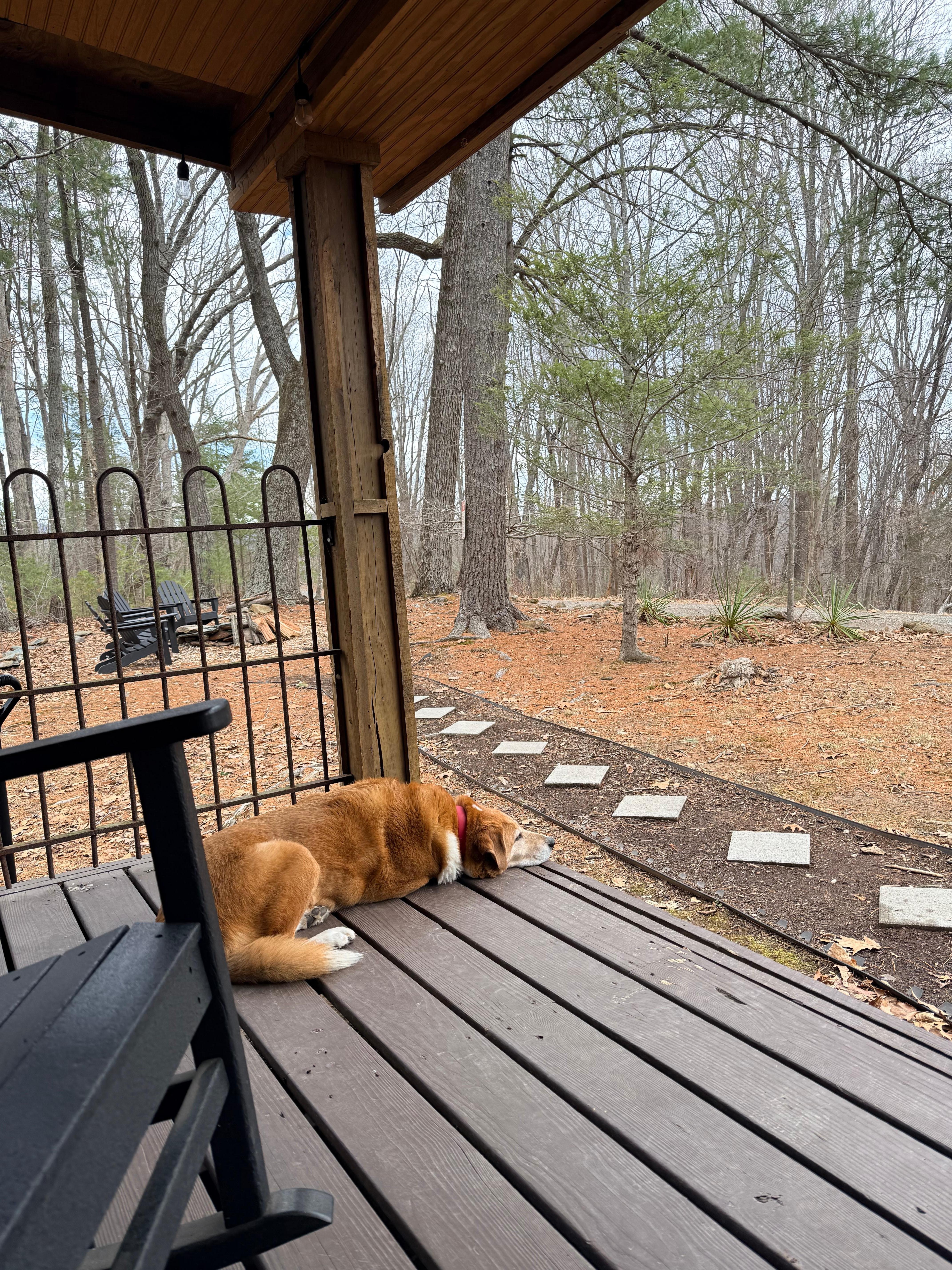 Coffee in the rockers 