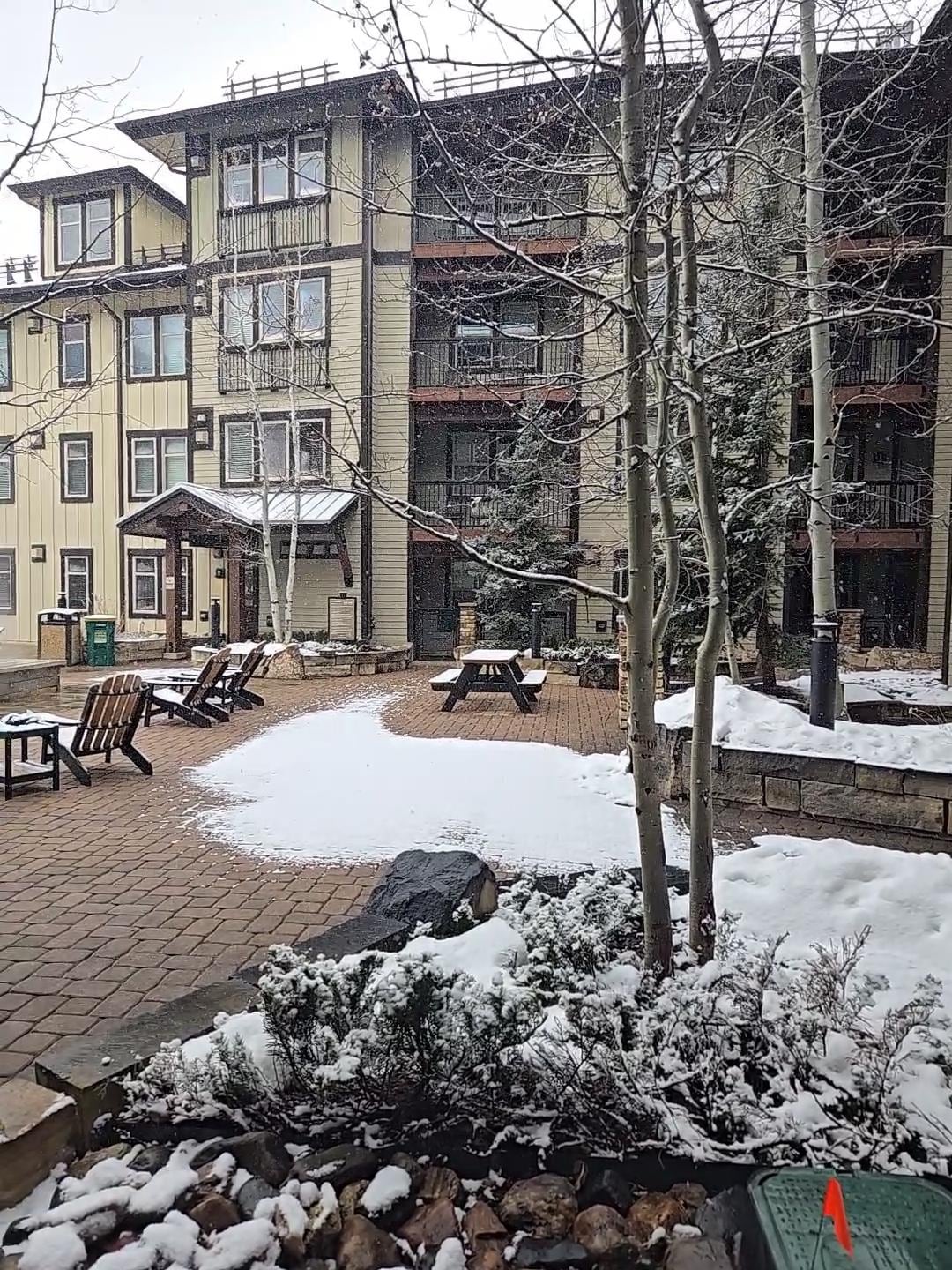 Watching the snow fall just outside