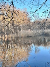 On a beautiful walk less than a mile from the house.