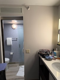 Bathroom, shower and vanity, plus iron and ironing board