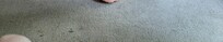 Room carpet