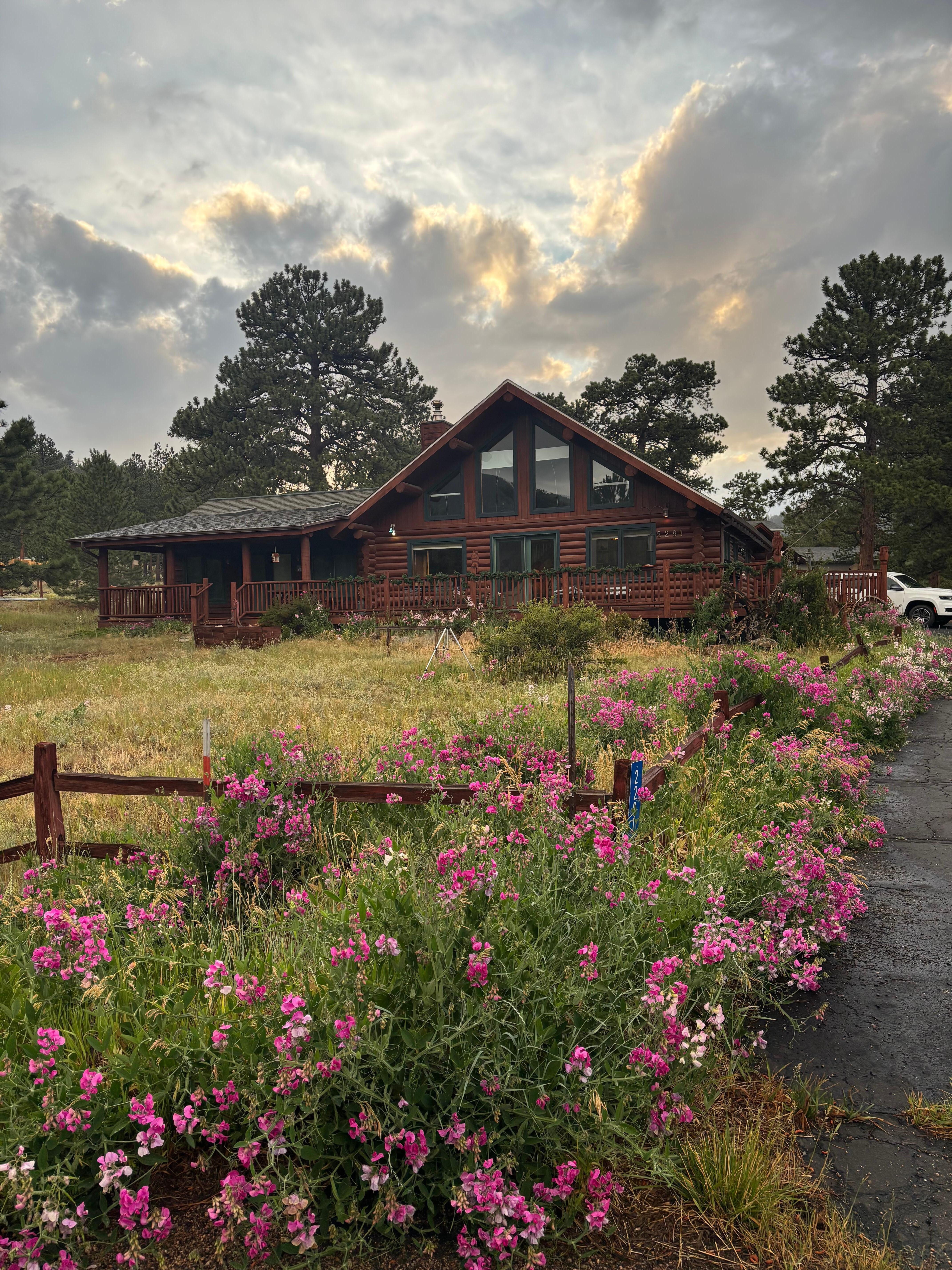 A beautiful home. What a treat to be greeted by such gorgeous sweet peas. 