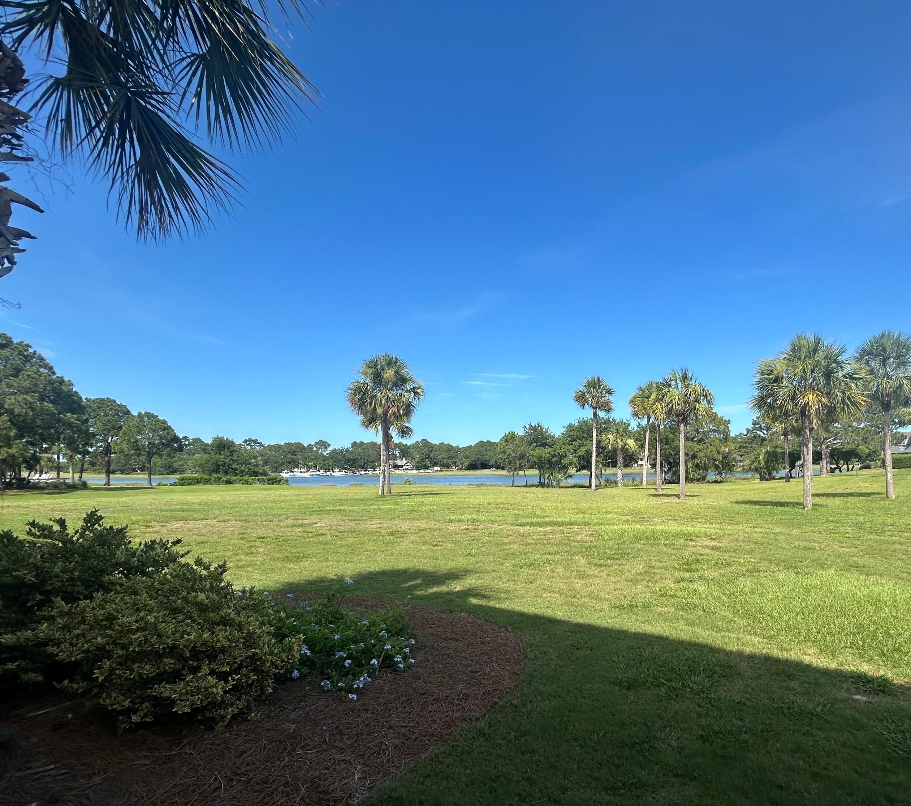 View from the patio 