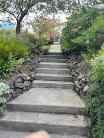 Looking up from the house