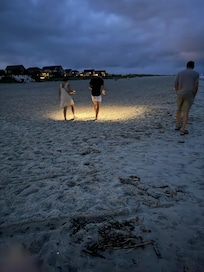 Looking for crabs on the beach at night.
