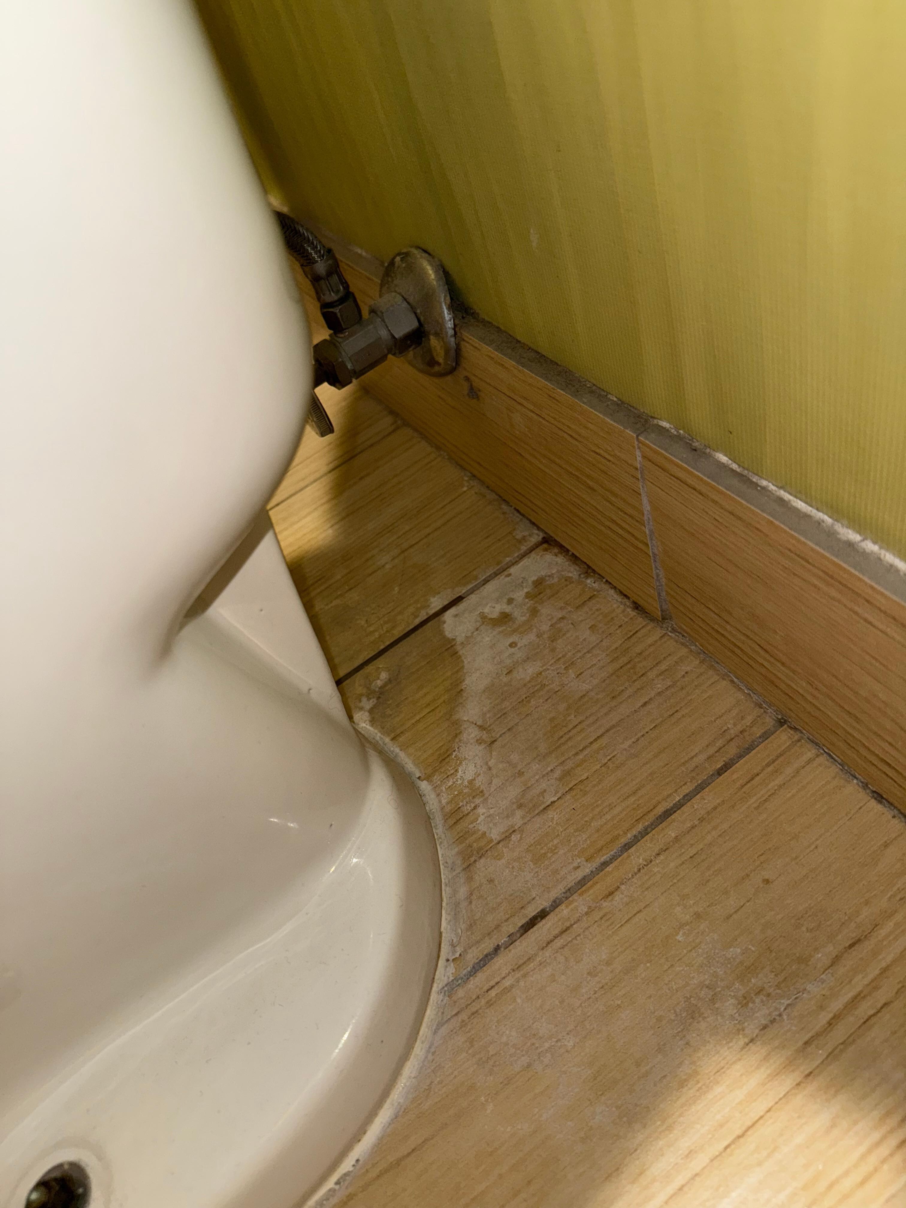 Behind the toilet.