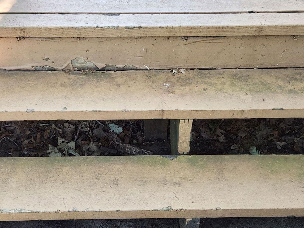 entry stairs dirty, moldy, peeling
