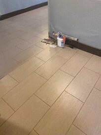 This was there from the time we checked in until the time we checked out.