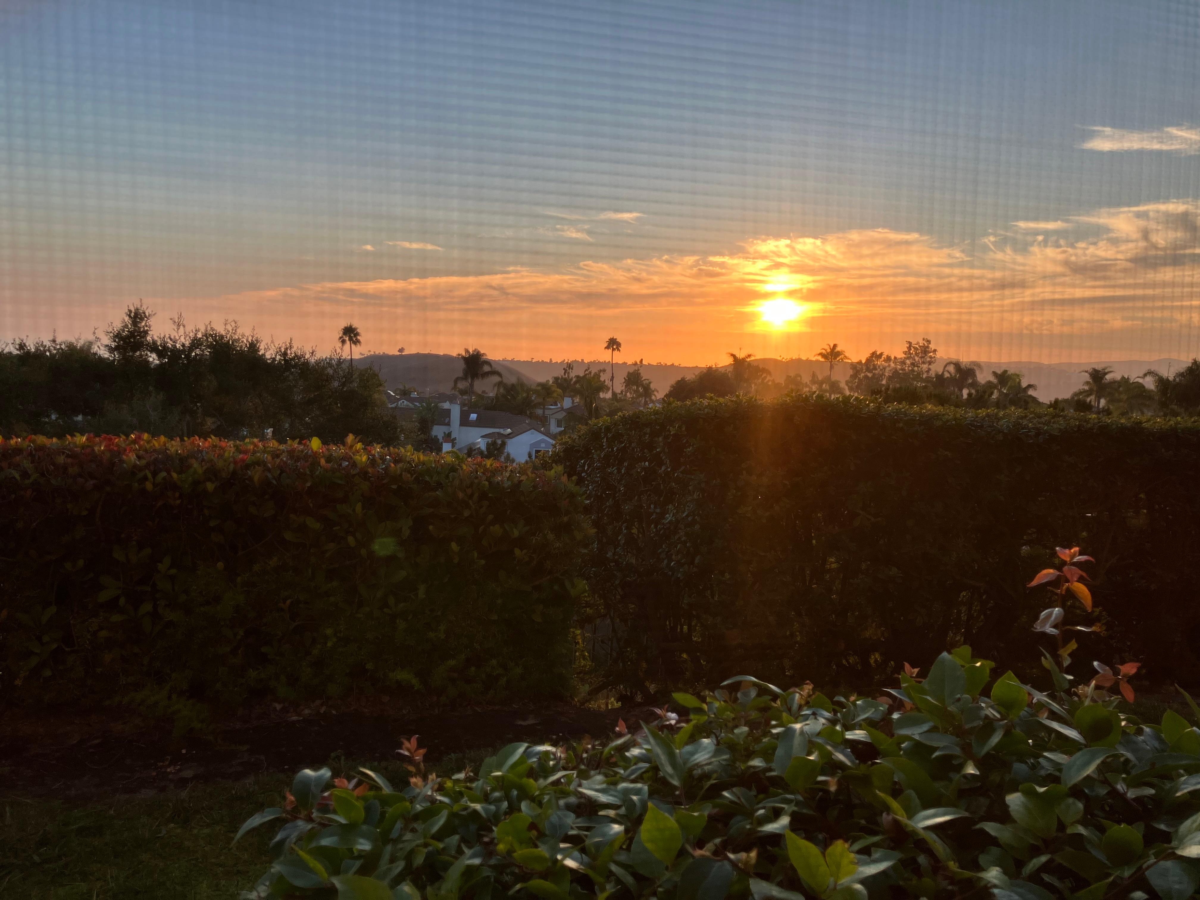 Gorgeous nightly sunsets. 