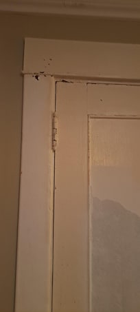 Lack of maintenance