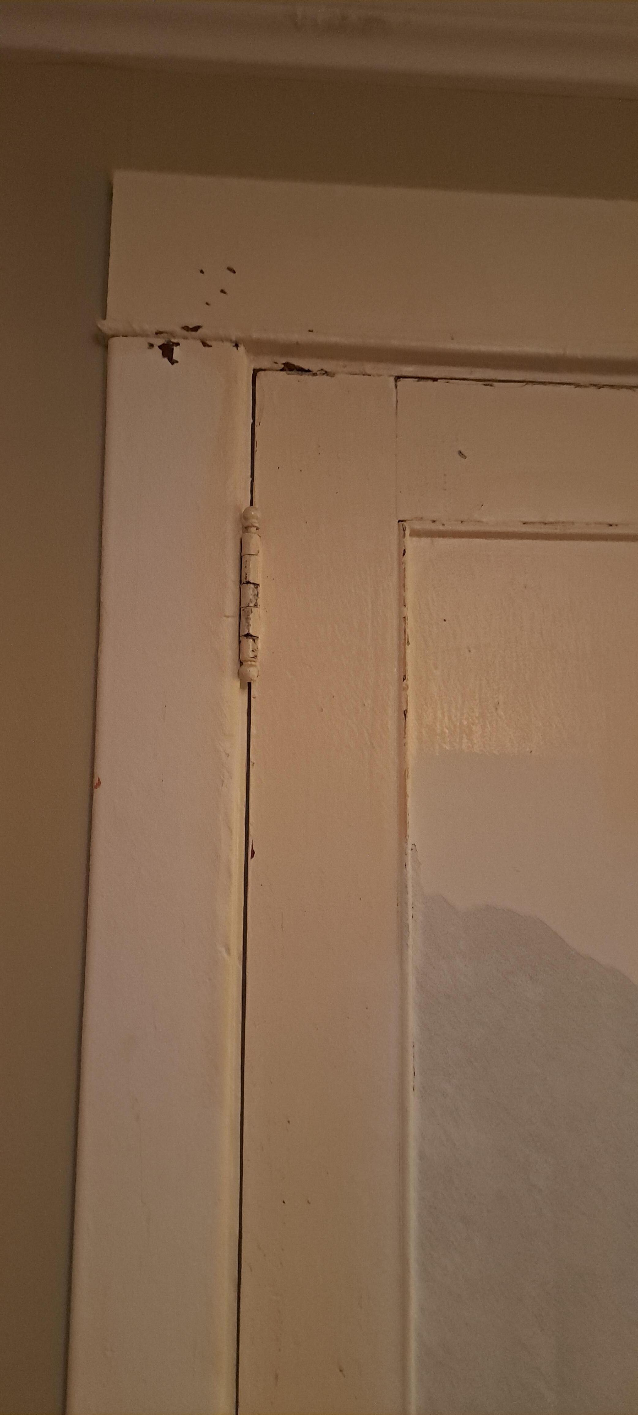 Lack of maintenance