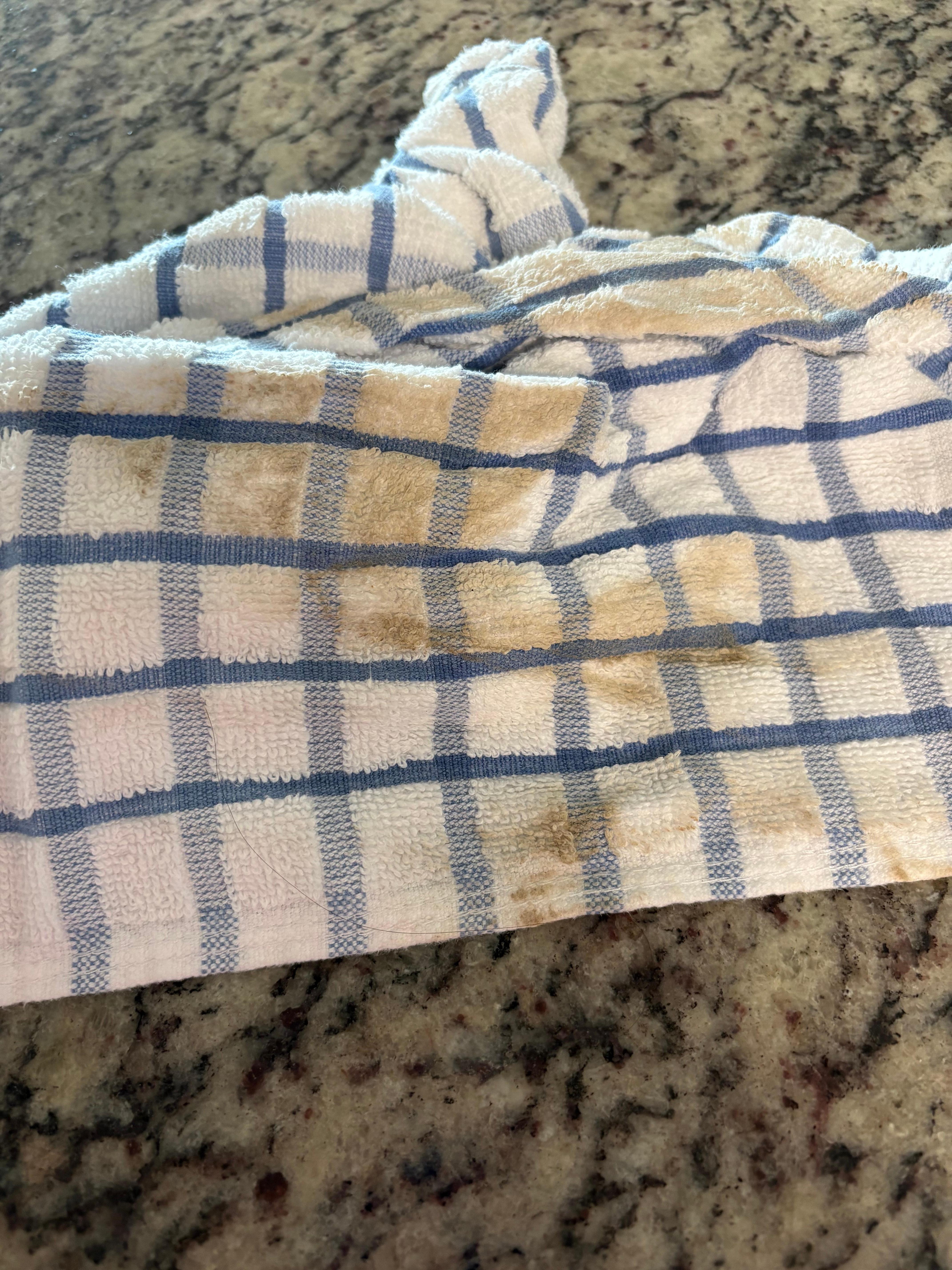 Just swiped one counter with dishcloth