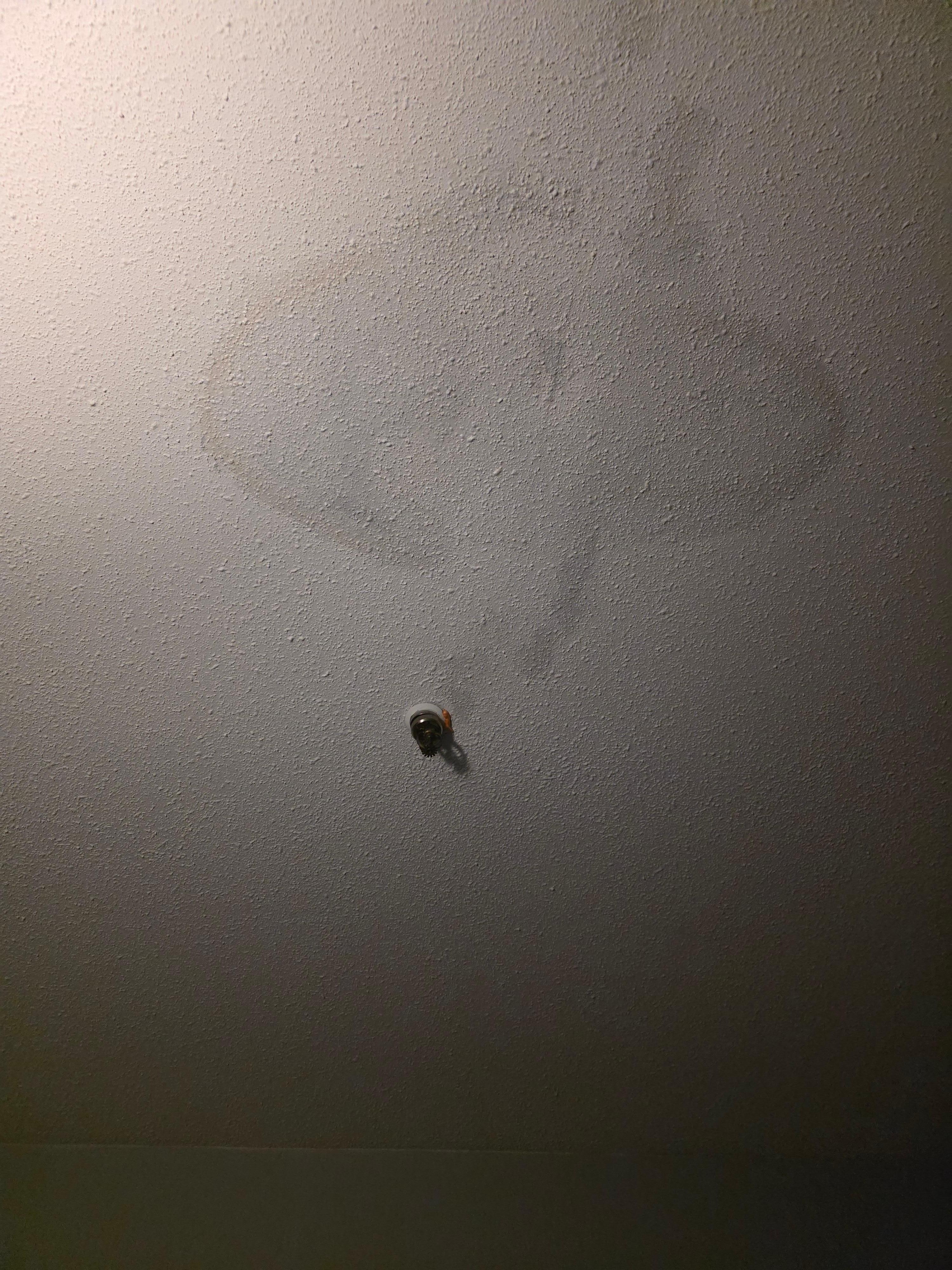 Ceiling above the bed