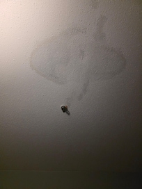 Ceiling above the bed