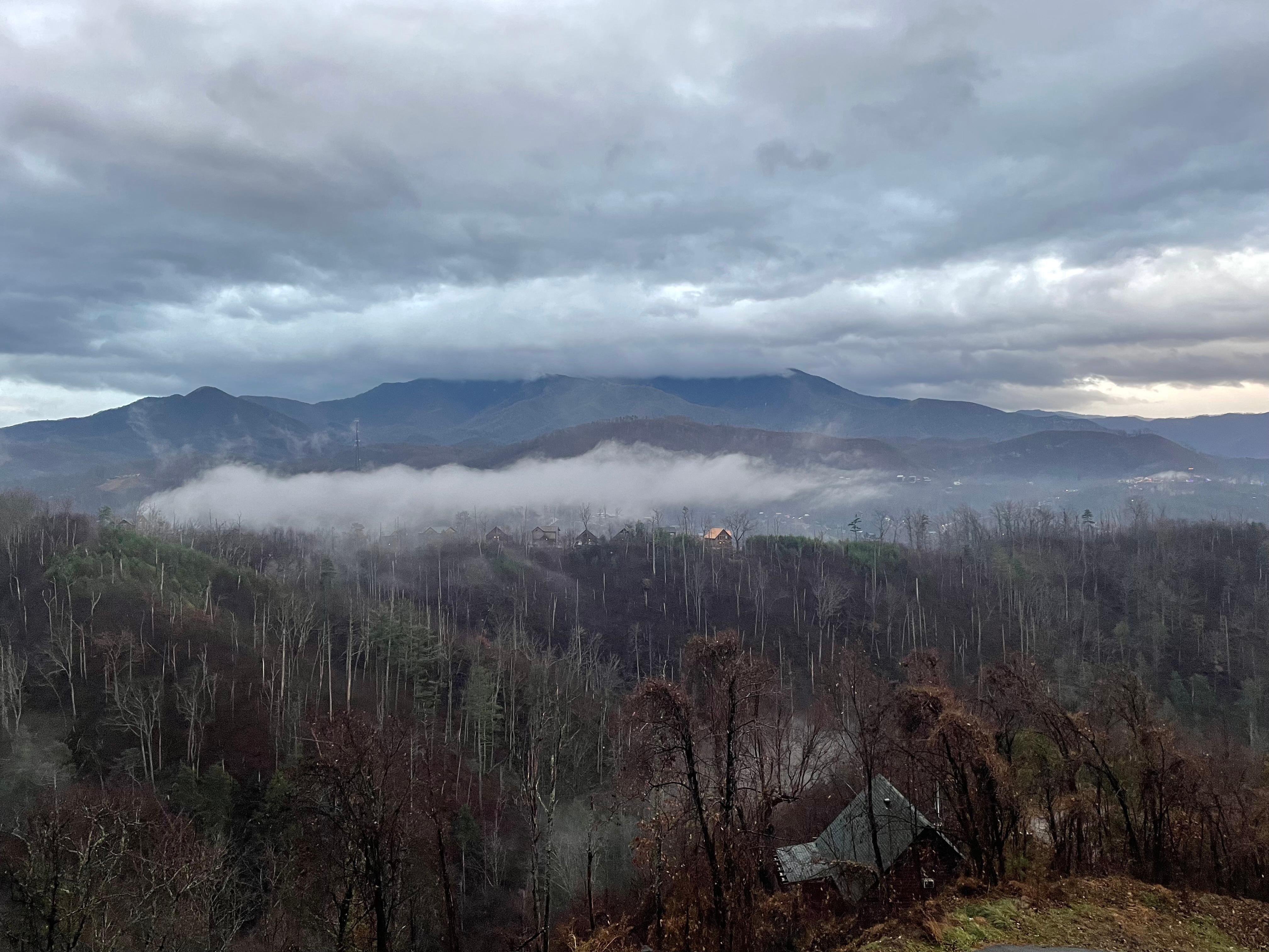 Beautiful morning view from the house.