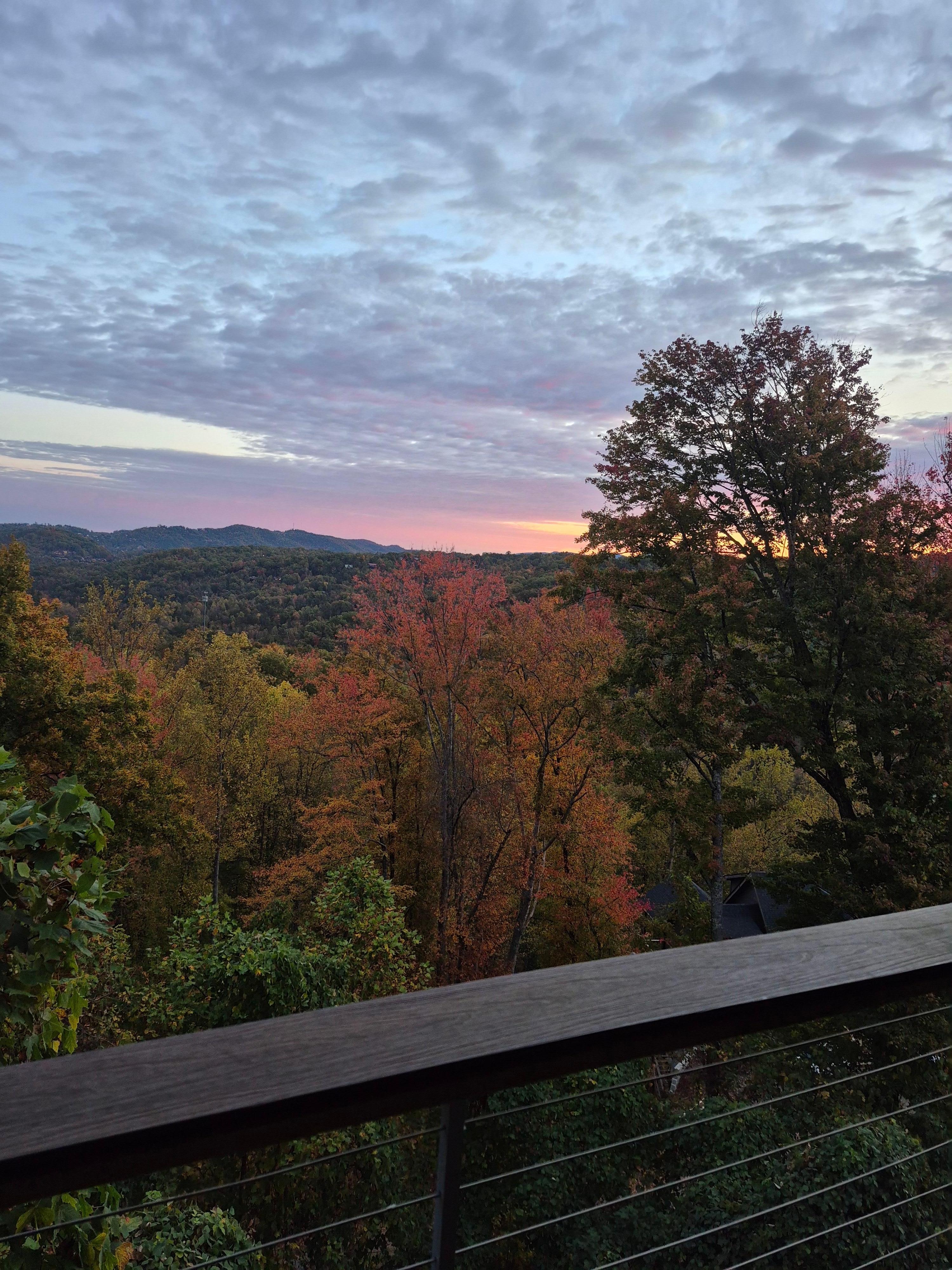 Lower deck view late October 